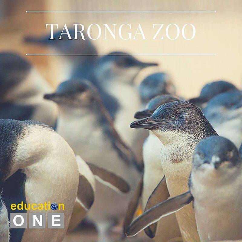taroonga zoo