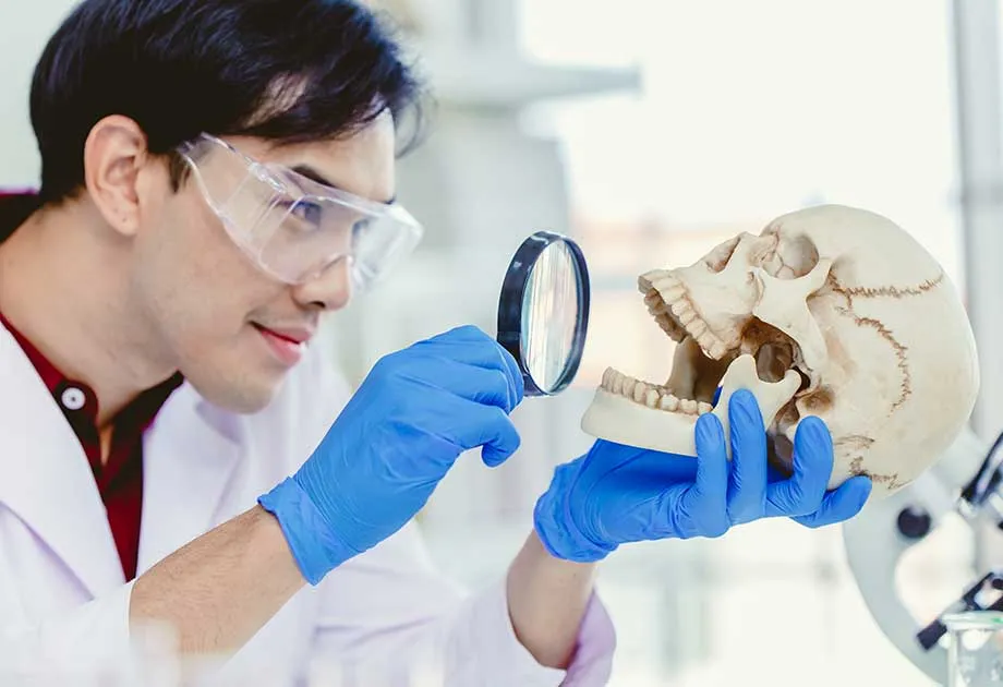 BACHELOR OF ANTHROPOLOGY – DURHAM UNIVERSITY